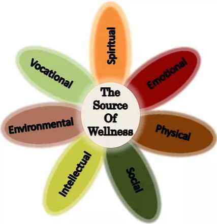 Graphic showing how the 7 sources of wellness unite into 1.